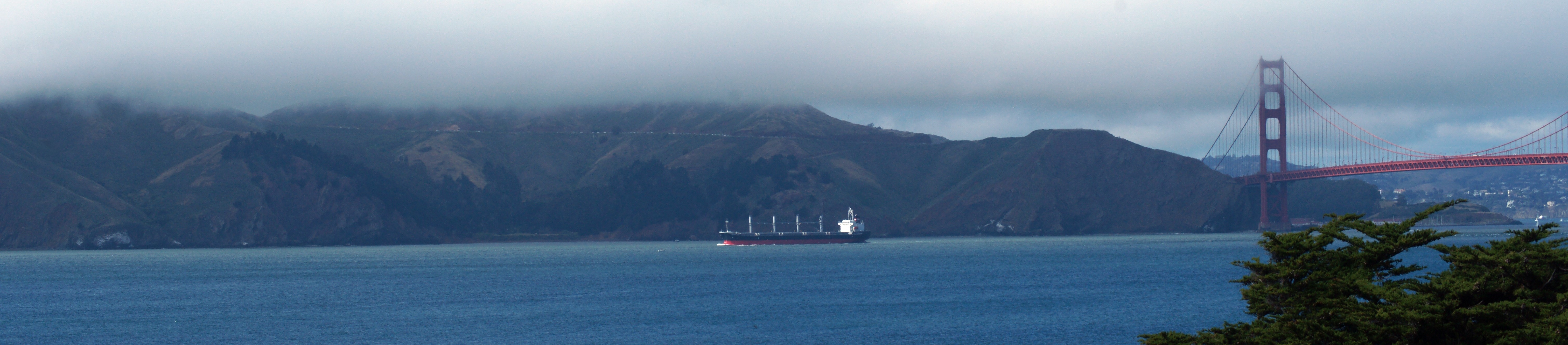 Marin headlands. Photo credit: Garrett Gunther